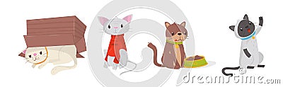 Playful Cats as Fluffy Feline with Cute Snout in Different Pose Vector Set Vector Illustration