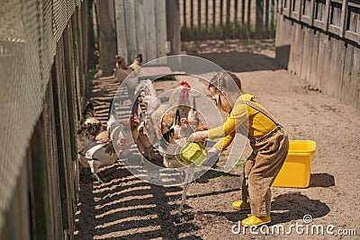 Playful girl with pigtails pours water to domestic birds in backyard of the farm Stock Photo