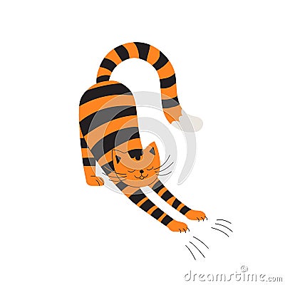 Playful kitten is naughty, making scratches. Tabby cat stretches and frolicsome. Impish tiger cub, flat cartoon character.Isolated Vector Illustration