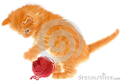 Playful red haired kitten with a ball Stock Photo