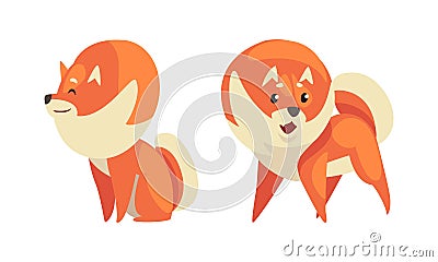 Playful Shiba Inu or Akita Puppy as Japanese Breed Dog with Prick Ears Vector Set Vector Illustration