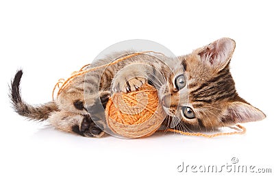 Playful tabby kitten Stock Photo