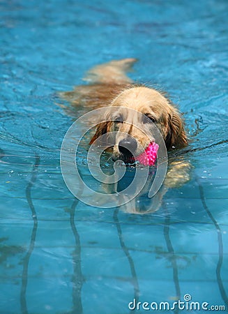 Playful time Stock Photo