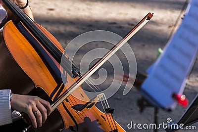 Playing the cello in the Retiro Park in Madrid City Stock Photo