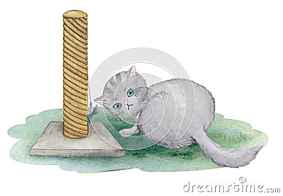 Playing fluffy cat on a stand with a scratching post. Watercolor illustration Cartoon Illustration