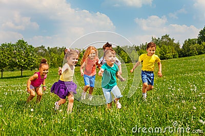 Playing kids in green field during summer Stock Photo