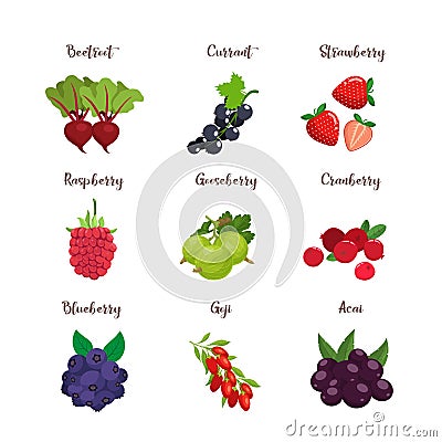 Set of colorful cartoon berries Vector Illustration
