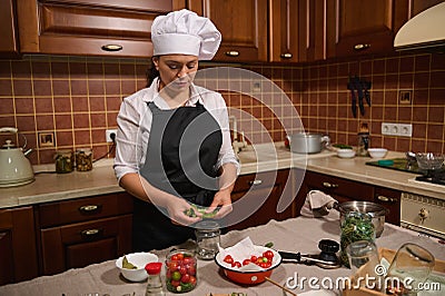 Pleasant housewife putting fresh leaves of umbrella dill into a can for canning while preparing pickled cherry tomatoes Stock Photo