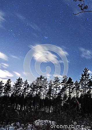 Pleiades open star cluster on night sky and clouds over winter forest Stock Photo