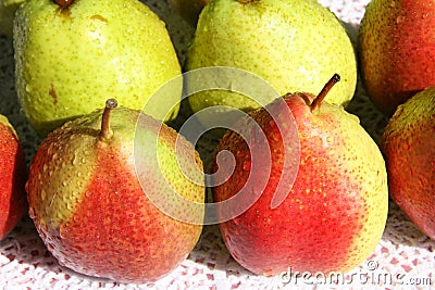 Plentiful crop of pears Stock Photo