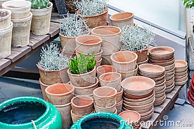 Plenty of clay flower pots - empty and with plants on wooden shelf Stock Photo