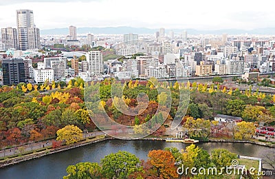 Plenty of Colorful tree with high building, Kyoto, Japan, 2017 Editorial Stock Photo