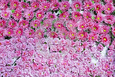 Plenty pink natural flowers seamless background Stock Photo