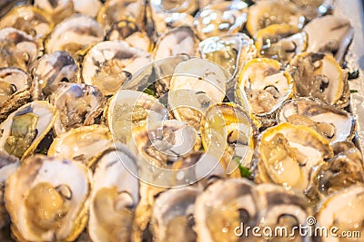 Tasty looking oysters on the table at the buffet Stock Photo