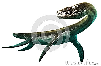 Plesiosaurus 3D illustration Cartoon Illustration