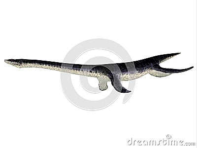 Plesiosaurus Reptile Side Profile Stock Photo