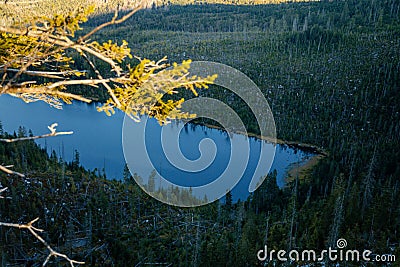 Plesne Lake in the Bohemian Forest, Sumava national park, Nova Pec, Czech Republic Stock Photo