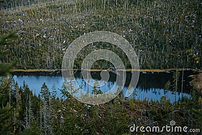 Plesne Lake in the Bohemian Forest, Sumava national park, Nova Pec, Czech Republic Stock Photo