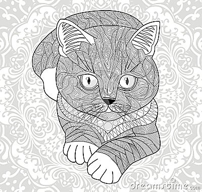 Plinth for t-shirts, . Coloring pages for adults. hand painted cat with an ethnic floral pattern. Abstract flower mandala. Vector Illustration