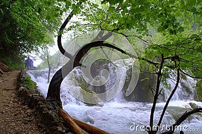 Plitvice lakes falls Croatia Stock Photo
