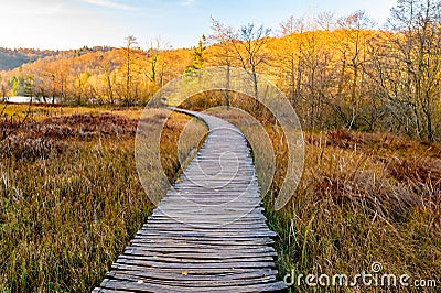 Plitvice Lakes National Park during colorful autumn, Croatia, Europe. Fall colors leafs on trees. Waterfalls and water in sunny Stock Photo