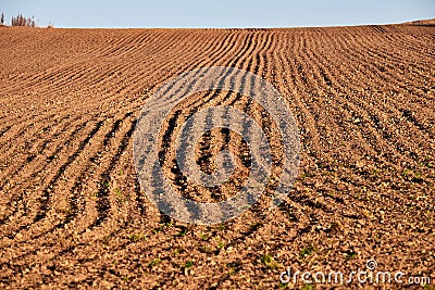 Plough agriculture field before sowing Stock Photo