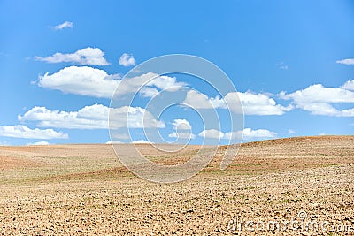 Ploughed arable plowing agricultural land plowed for crops under blue sky with clouds conceptual background with Stock Photo