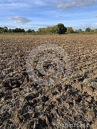 Ploughed field with furrows of soil and tree line Stock Photo