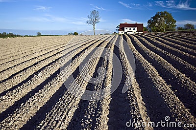 Ploughed field and house Stock Photo