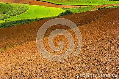 Ploughed fields Stock Photo