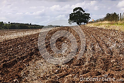 Ploughed / plowed field Stock Photo