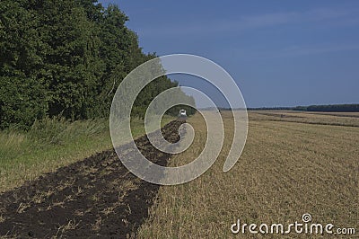 Ploughing of grain fields on harvesting of the grain Stock Photo