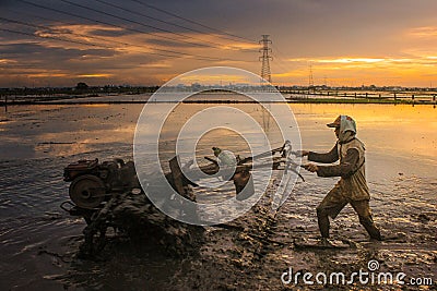 Plow fields on sunset magic Editorial Stock Photo