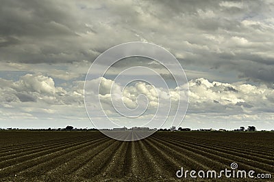 Plowed Farm on a Cloudy Spring Day Stock Photo