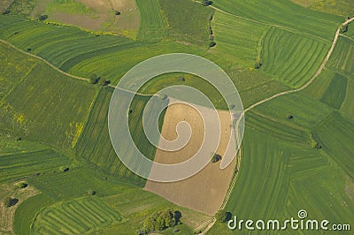 Plowed farm Stock Photo