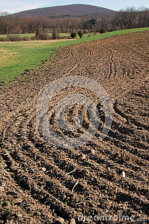 Plowed field Stock Photo