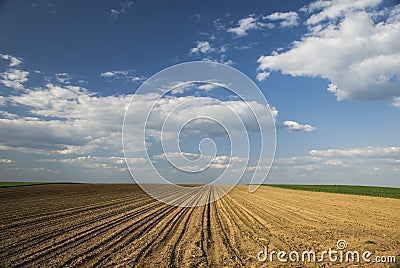 Plowed field Stock Photo