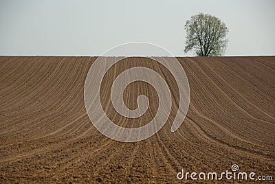 Plowed field Stock Photo