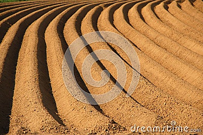 Plowed Field Stock Photo