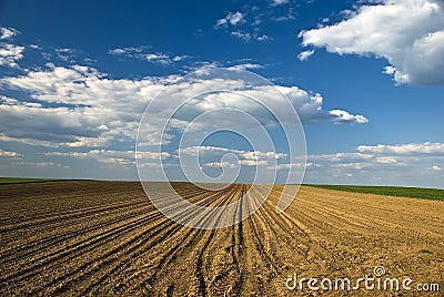 Plowed field Stock Photo