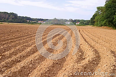 Plowed field for Fall crops Stock Photo