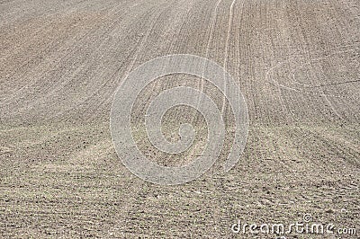 Plowed field Stock Photo