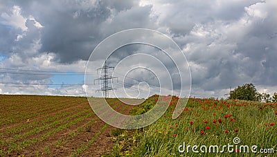 View of the plowed field. A small farm. Cereal cultivation Arable land. Good things. Stock Photo