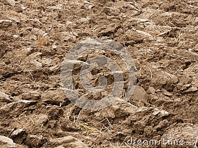 Plowed field tillage Stock Photo