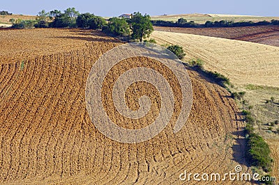 Plowed field Stock Photo