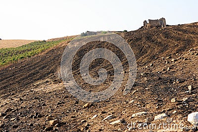 Plowed hillside field Stock Photo