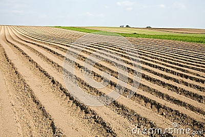 Plowed field Stock Photo