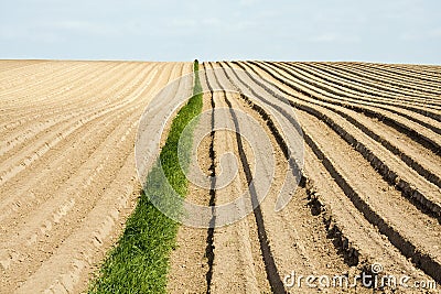 Plowed field Stock Photo