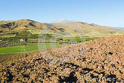 Plowed land Stock Photo