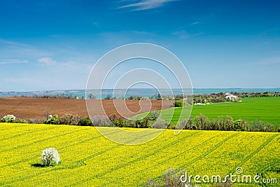 Plowed land Stock Photo